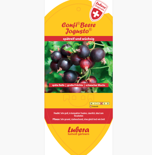 Picture labels - Ribes x nidigr. Confi®berry 'Jogusto®'