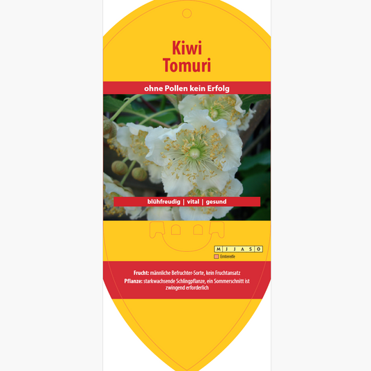 Picture labels - Actinidia deliciosa 'Tomuri'