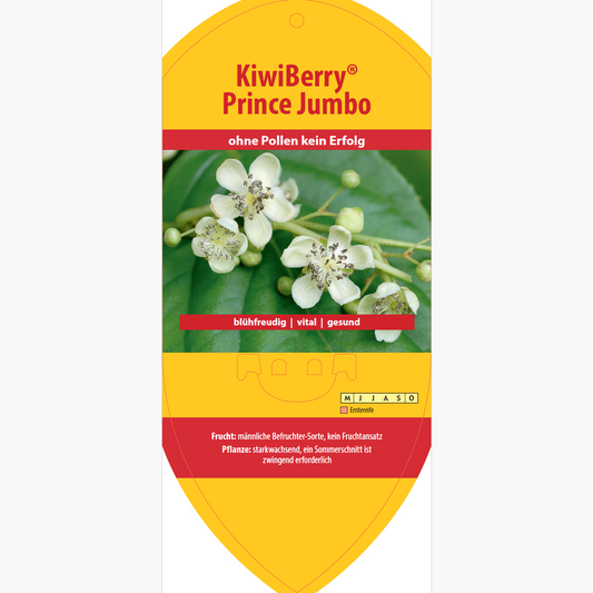 Picture labels - Actinidia arguta 'Prince Jumbo'