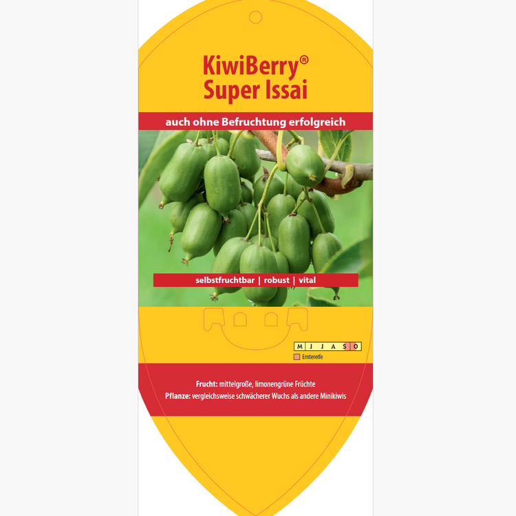 Picture labels - Actinidia arguta 'Super Issai'