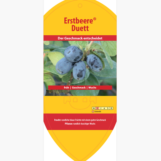 Bildetiketten - Lonicera cear. 'Duet'