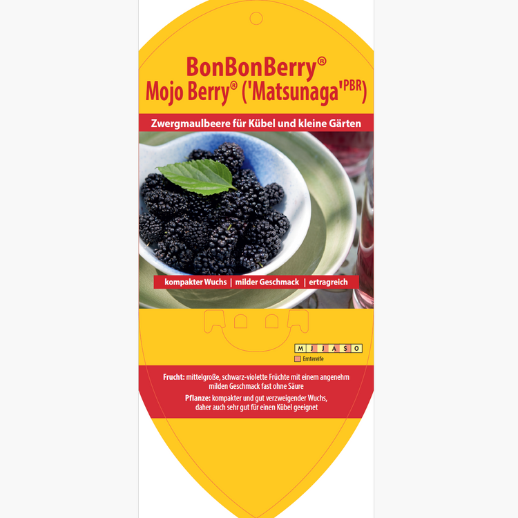 Bildetiketten - Morus sp. 'Mojoberry®'