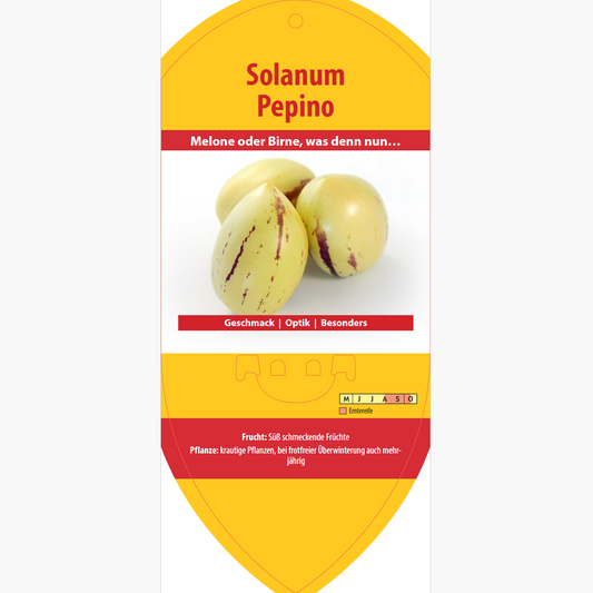Picture labels - Solanum muri. 'Pepino'