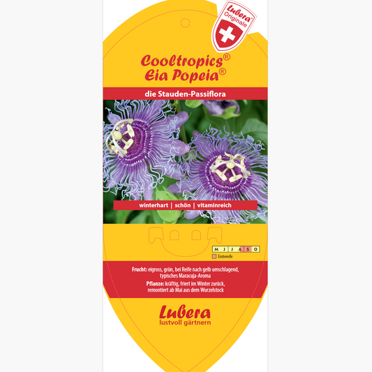 Picture labels - Passiflora incarnata Cooltropics® 'Eia Popeia®'