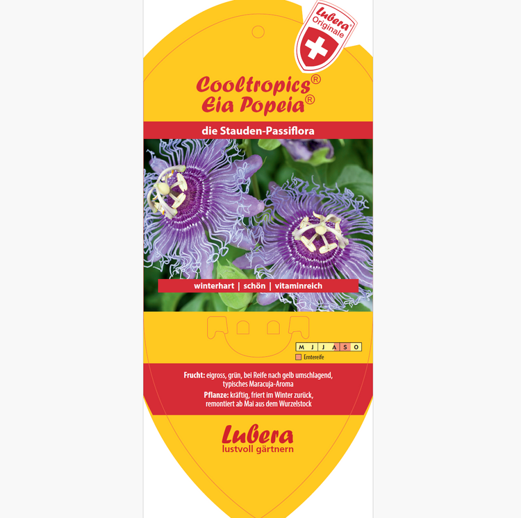 Biletiketten - Passiflora incarnata Cooltropics® 'Eia Popeia®'