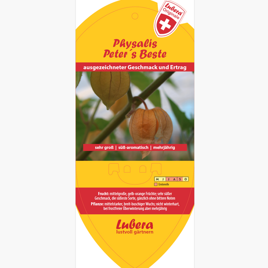 Bildetiketten - Physalis 'Peter´s Beste'