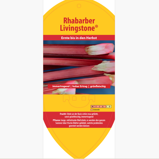 Picture labels - Rheum rha. 'Livingstone®'