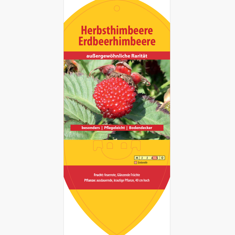 Picture labels - Rubus ill. 'Strawberry Raspberry'