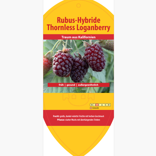 Picture labels - Rubus hybr. 'Thornless Loganberry'