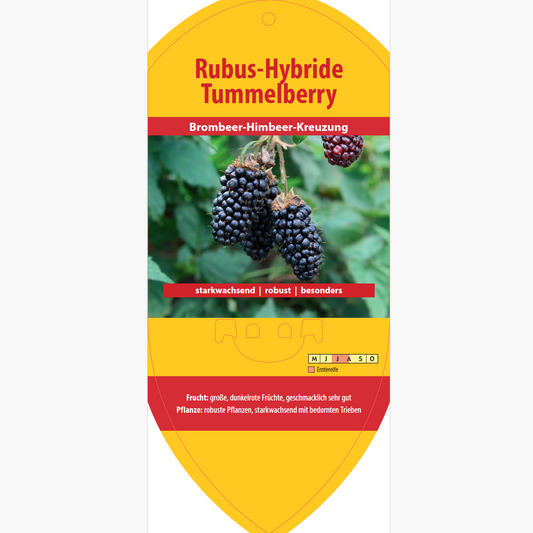 Picture labels - Rubus hybr. 'Tummelberry'