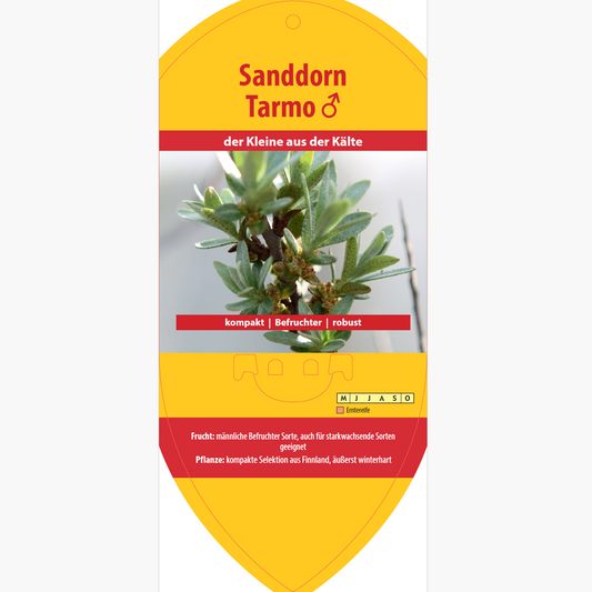 Bildetiketten - Hippophae rham. 'Tarmo'