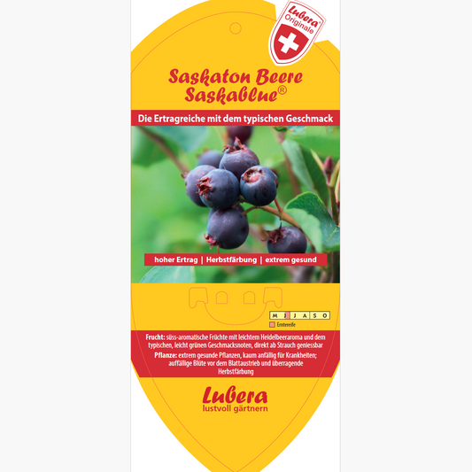 Bildetiketten - Amelanchier alnifolia 'Saskablue'