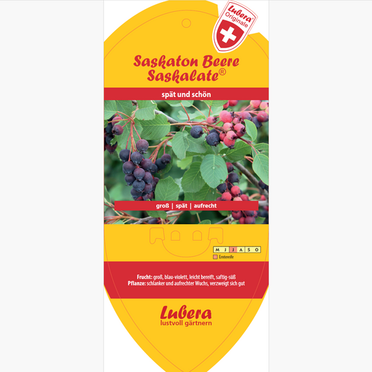 Bildetiketten - Amelanchier alnifolia 'Saskalate®'