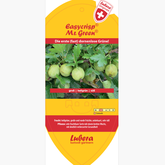Picture labels - Ribes uva-crispa Easycrisp® 'Mr. Green®'