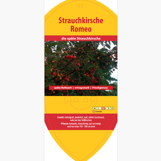 Bildetiketten - Prunus Hybr. Romeo