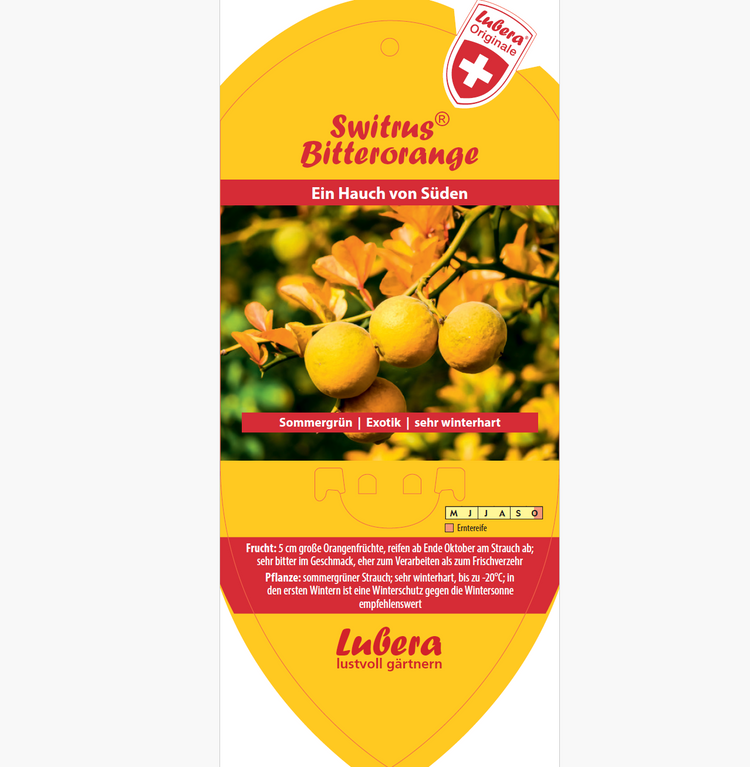 Bildetiketten - Poncirus trif. 'Bitterorange'