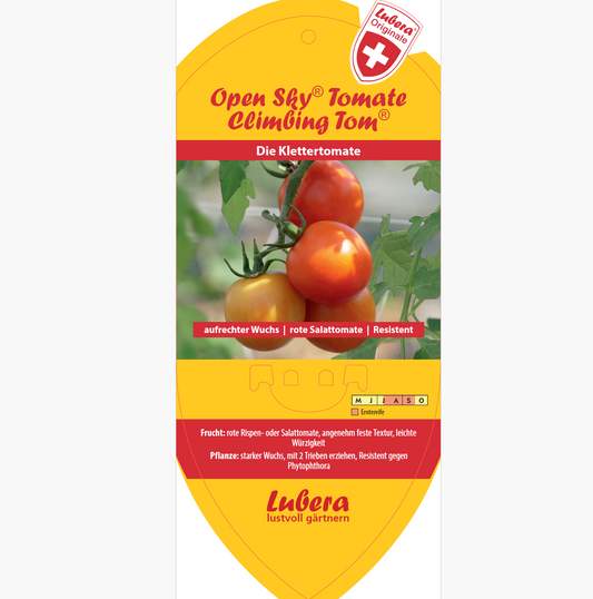 Bildetiketten - Solanum lycopersicum OpenSky® 'Climbig Tom®'