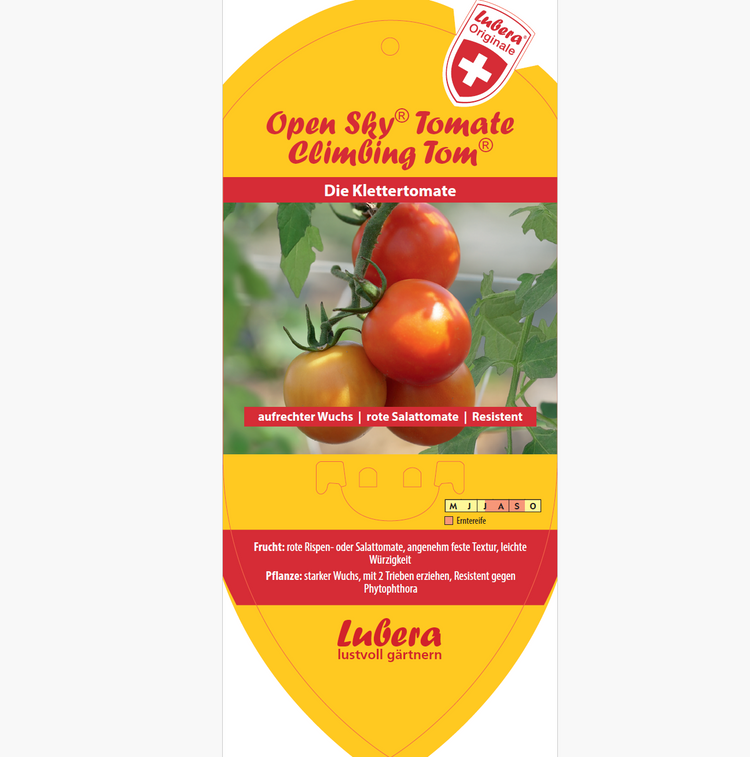 Bildetiketten - Solanum lycopersicum OpenSky® 'Climbig Tom®'
