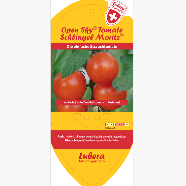 Bildetiketten - Solanum lycopersicum OpenSky® 'Schlingel Moritz®'
