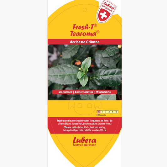 Bildetiketten - Camellia sinensis Fresh-T® 'Tearoma®'