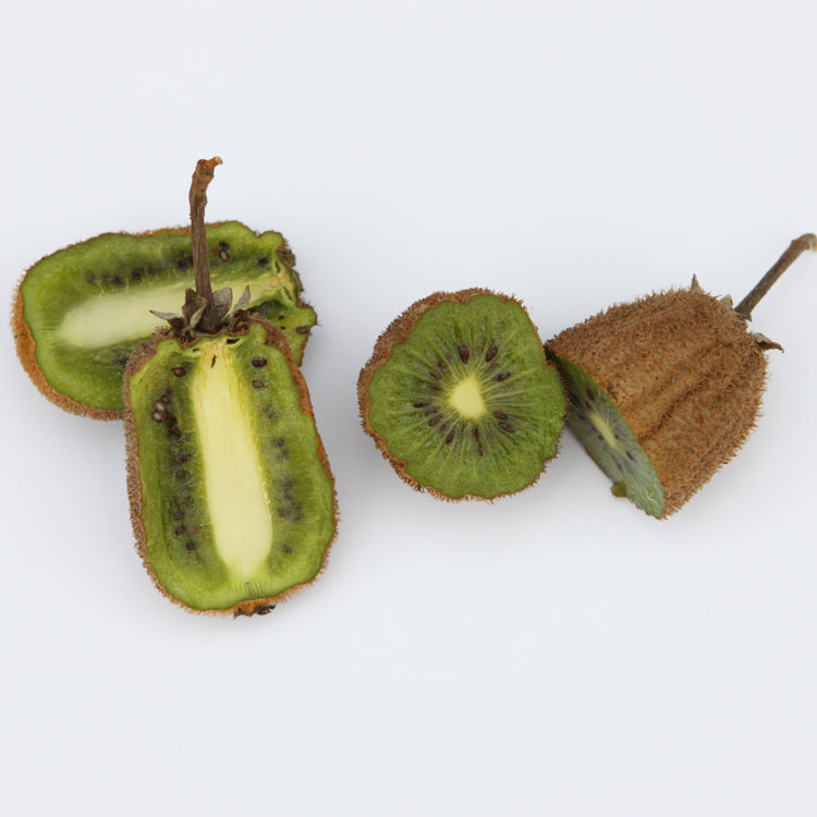 Kiwi Koryoku - Jungpflanzen