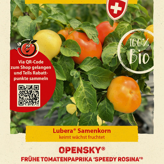 Freilandpaprika OpenSky® 'Speedy Rosina®'-Saatgut