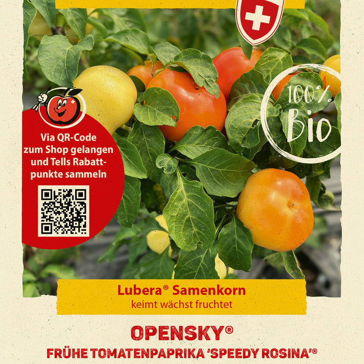 Freilandpaprika OpenSky® 'Speedy Rosina®'-Saatgut
