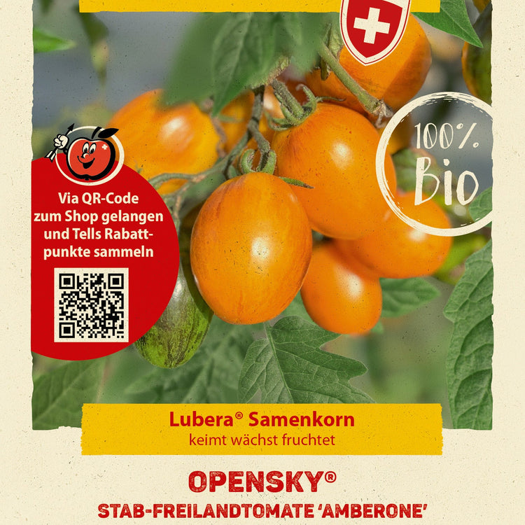 Freilandtomate OpenSky® 'Amberone®'-Saatgut