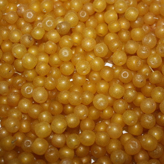 Oleaster Pointilla® 'Fortunella®' young plants