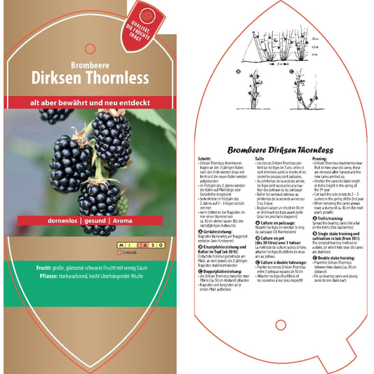 Bildetiketten - Rubus frut. 'Dirksens Thornless'
