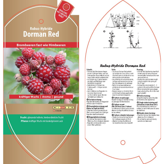 Picture labels - Rubus hybr. 'Dorman Red'