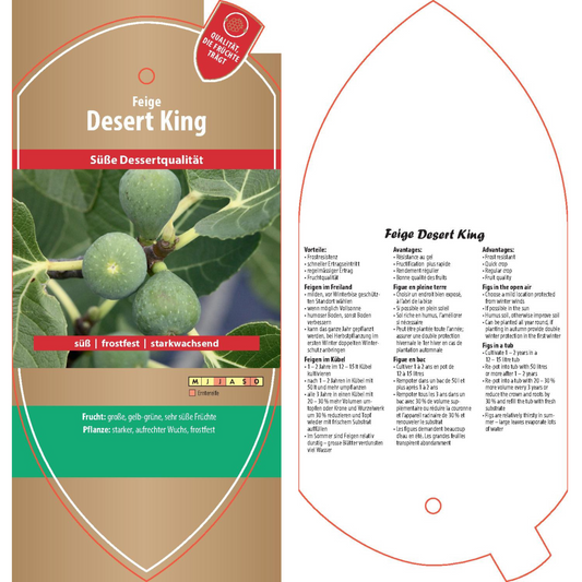 Bildetiketten - Ficus carica 'Desert King'