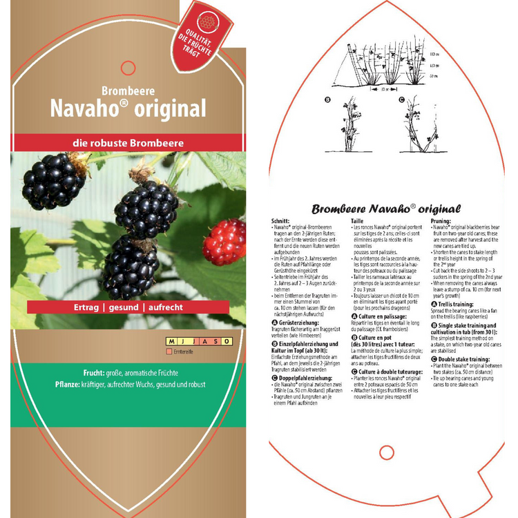 Picture labels - Rubus frut. 'Navaho®' (Arapaho-PBR-)