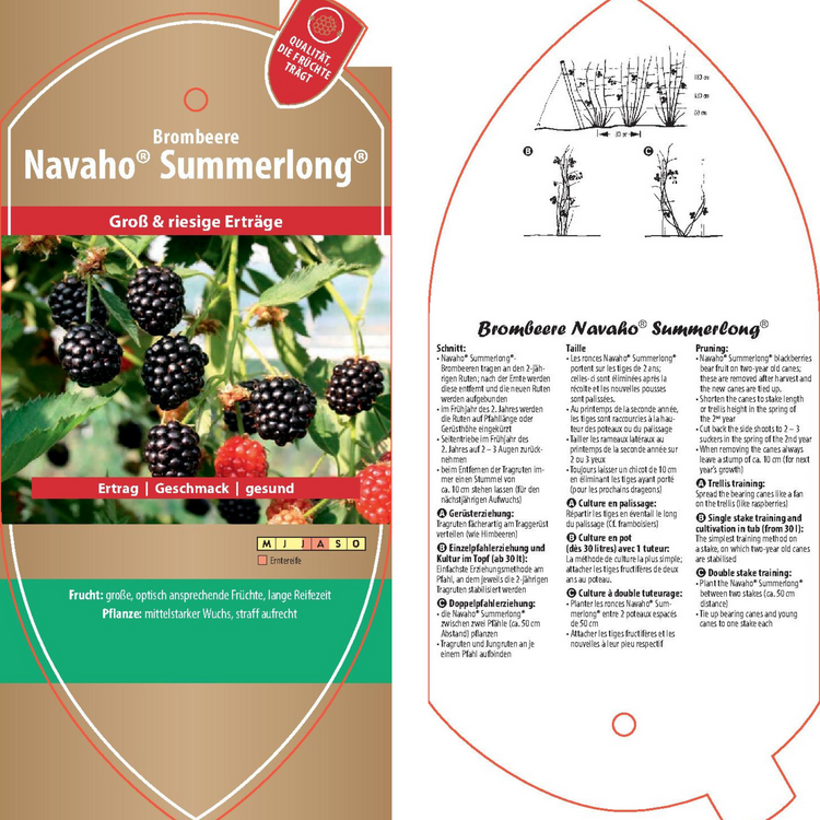 Bildetiketten - Rubus frut. 'Navaho® Summerlong®'