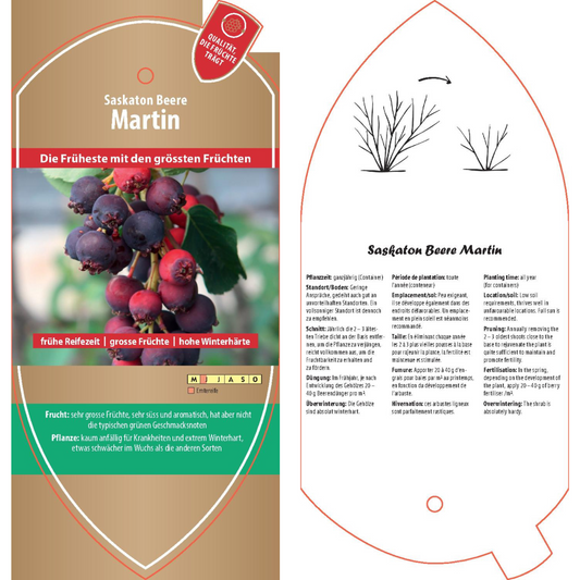 Picture labels - Amelanchier alnifolia 'Martin'