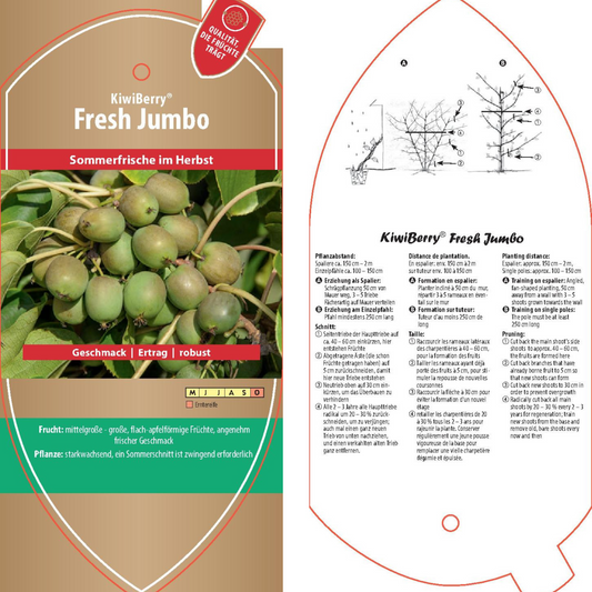 Picture labels - Actinidia arguta 'Fresh Jumbo'