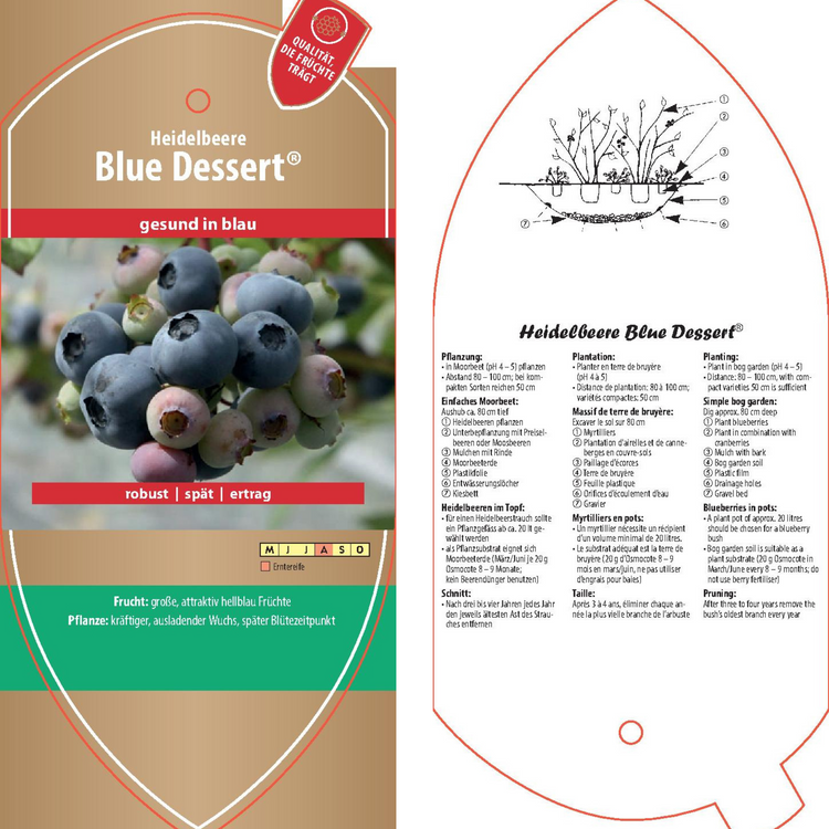 Bildetiketten - Vaccinium cor. 'Blue Dessert®'
