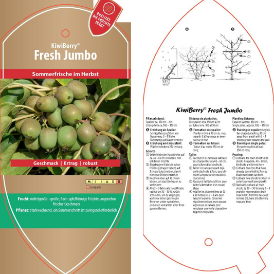 Bildetiketten - Actinidia arguta 'Fresh Jumbo'