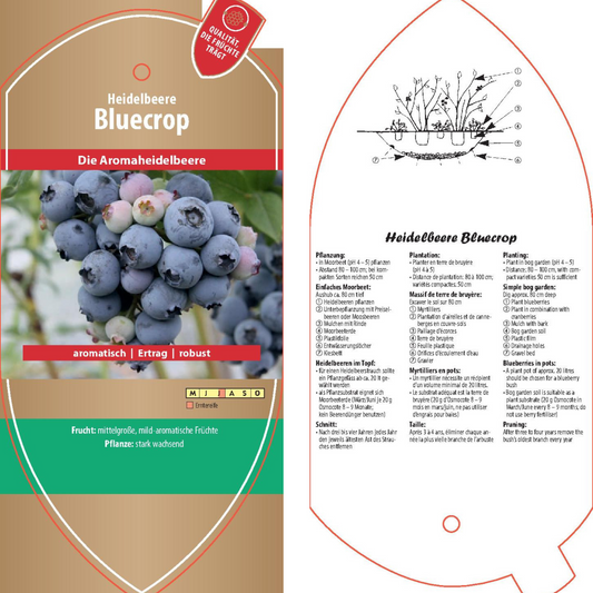 Picture labels - Vaccinium cor. 'blue crop'