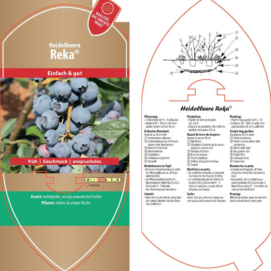 Picture labels - Vaccinium cor. 'Reka'