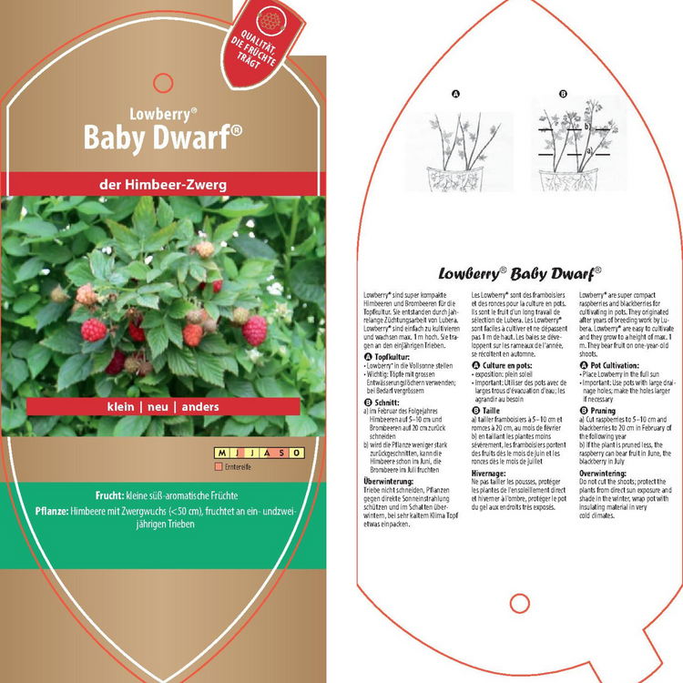 Picture labels - Rubus idaeus Lowberry® 'Baby Dwarf®'