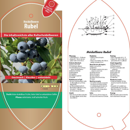 Picture labels - Vaccinium cor. 'Ruble'