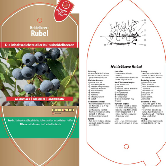 Bildetiketten - Vaccinium cor. 'Rubel'