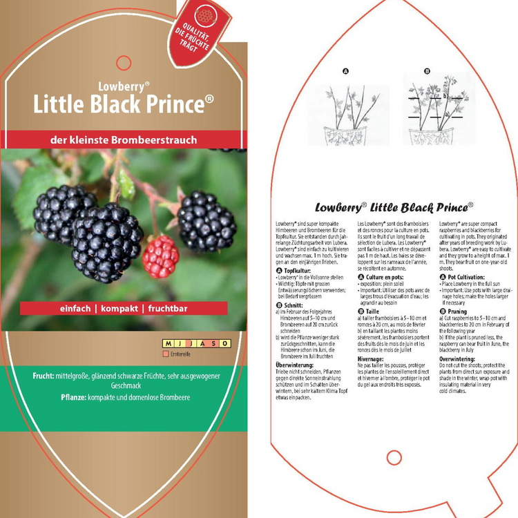 Picture labels - Rubus frut. Lowberry® 'Little Black Prince®'