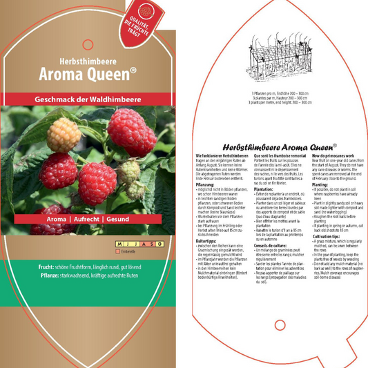 Picture labels - Rubus idaeus 'Aroma Queen®' (aromque-PBR-)