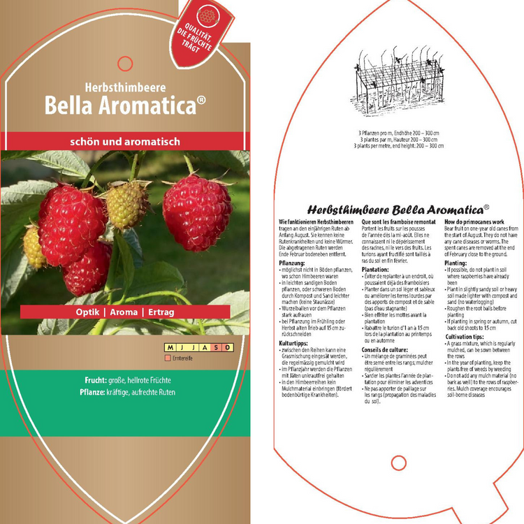 Bildetiketten - Rubus idaeus 'Bella Aromatica®'