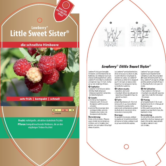 Picture labels - Rubus idaeus Lowberry® 'Little Sweet Sister®'
