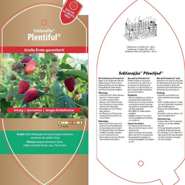 Picture labels - Rubus idaeus Schlaraffia® 'Plentiful®'