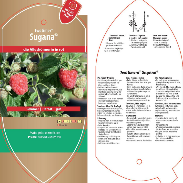 Bildetiketten - Rubus idaeus Twotimer® 'Sugana-PBR-'