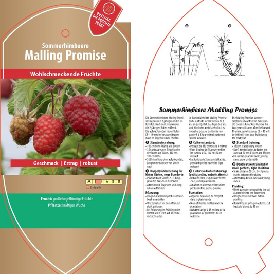 Picture labels - Rubus idaeus 'Malling Promise'